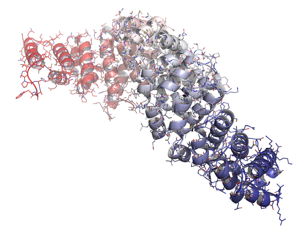 β-catenin Protein Activators Found to be Effective Against Melanoma Cells